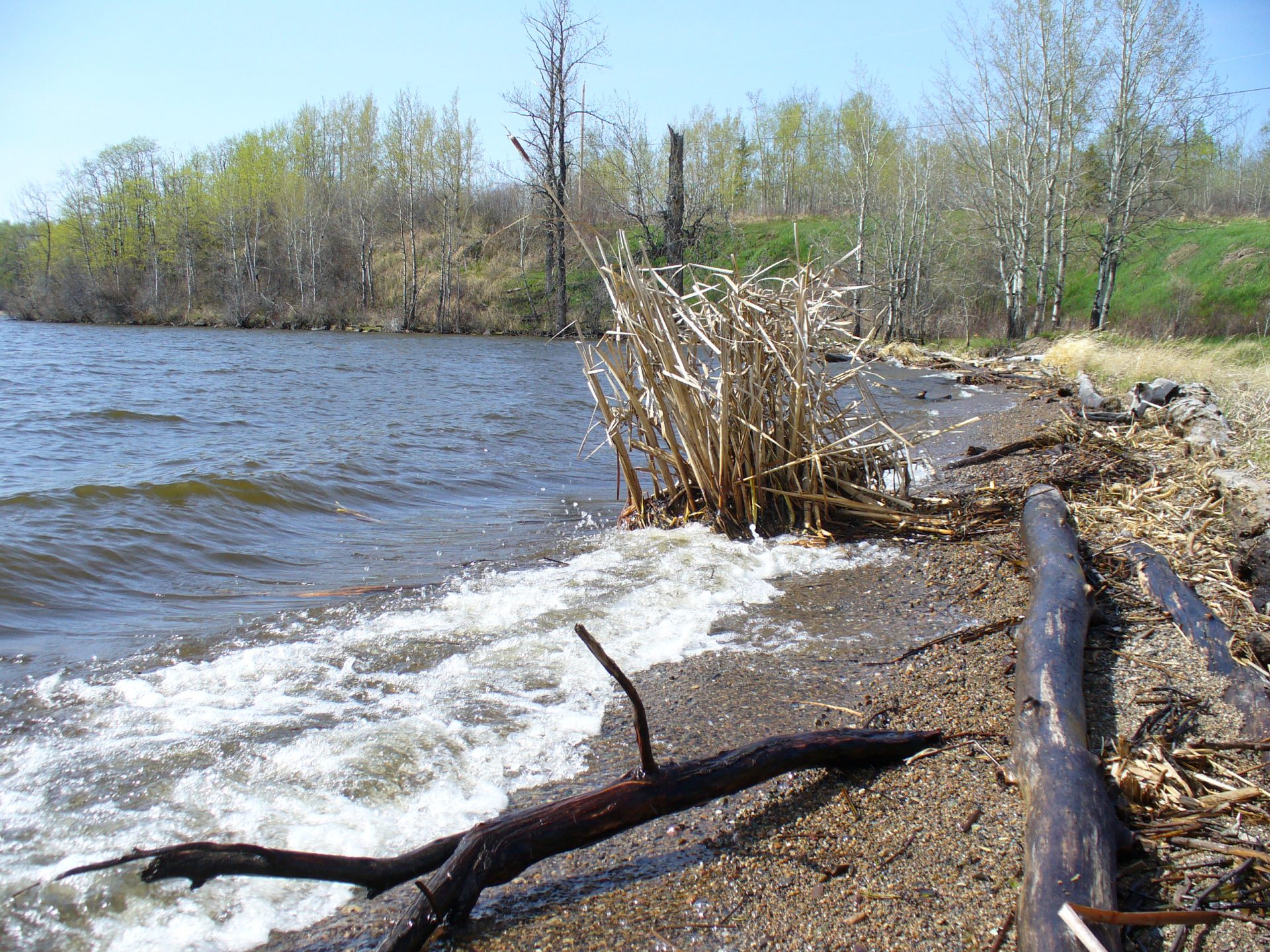 24th annual Nulki Lake Derby running this weekend