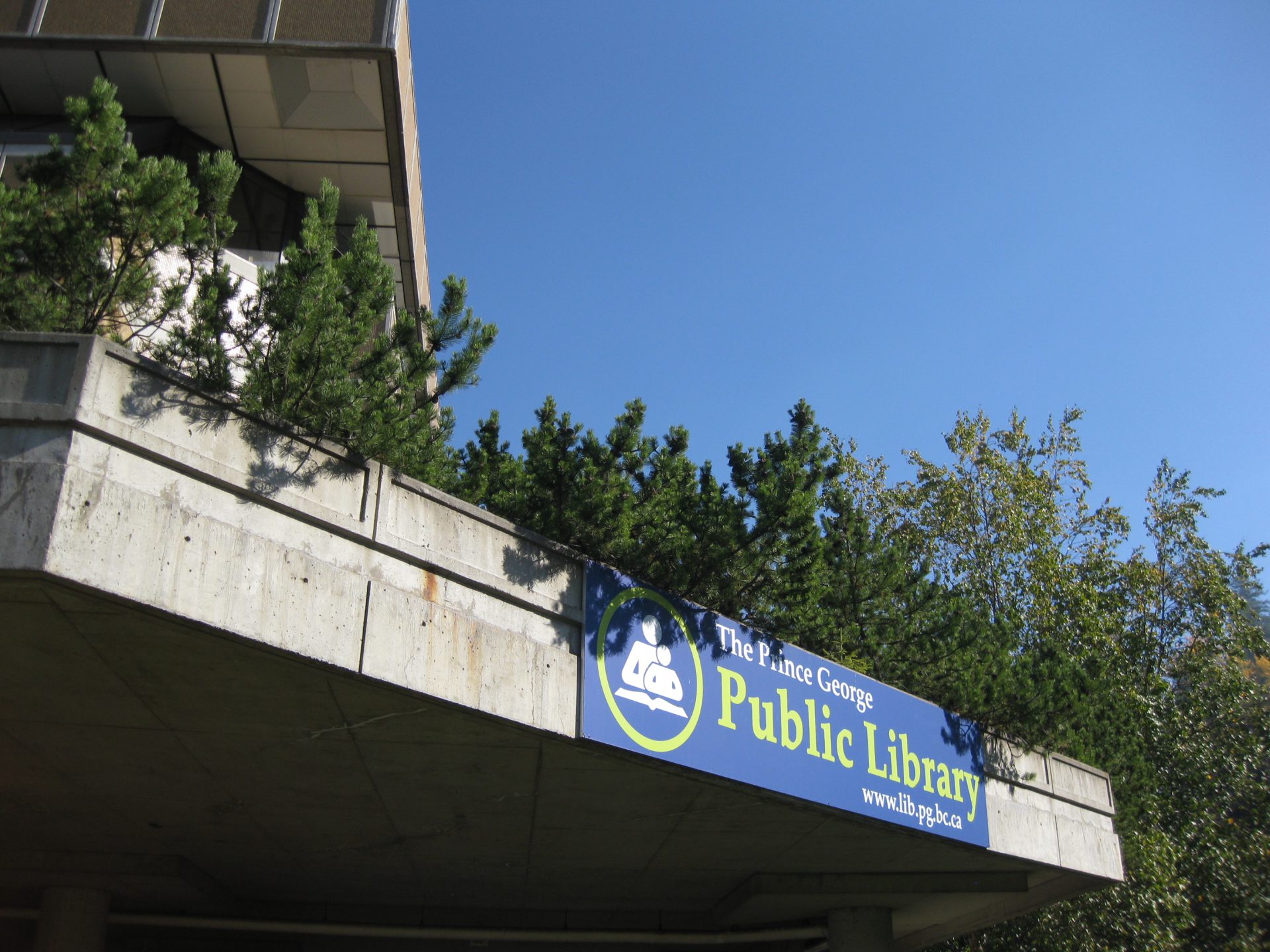Public Library running downtown walking tours