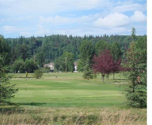 City seeks bidders for Pine Valley Golf Course. - My ...