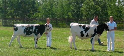 VH Fall Fair promises excitement