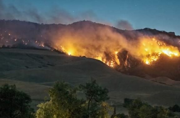 BC liquor stores assisting with Wildfire relief efforts