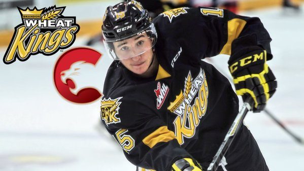 Harrison joins the Cougars
