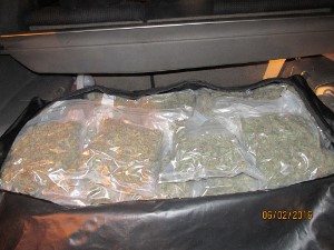 Fraser Lake RCMP seize large amount of BC bud