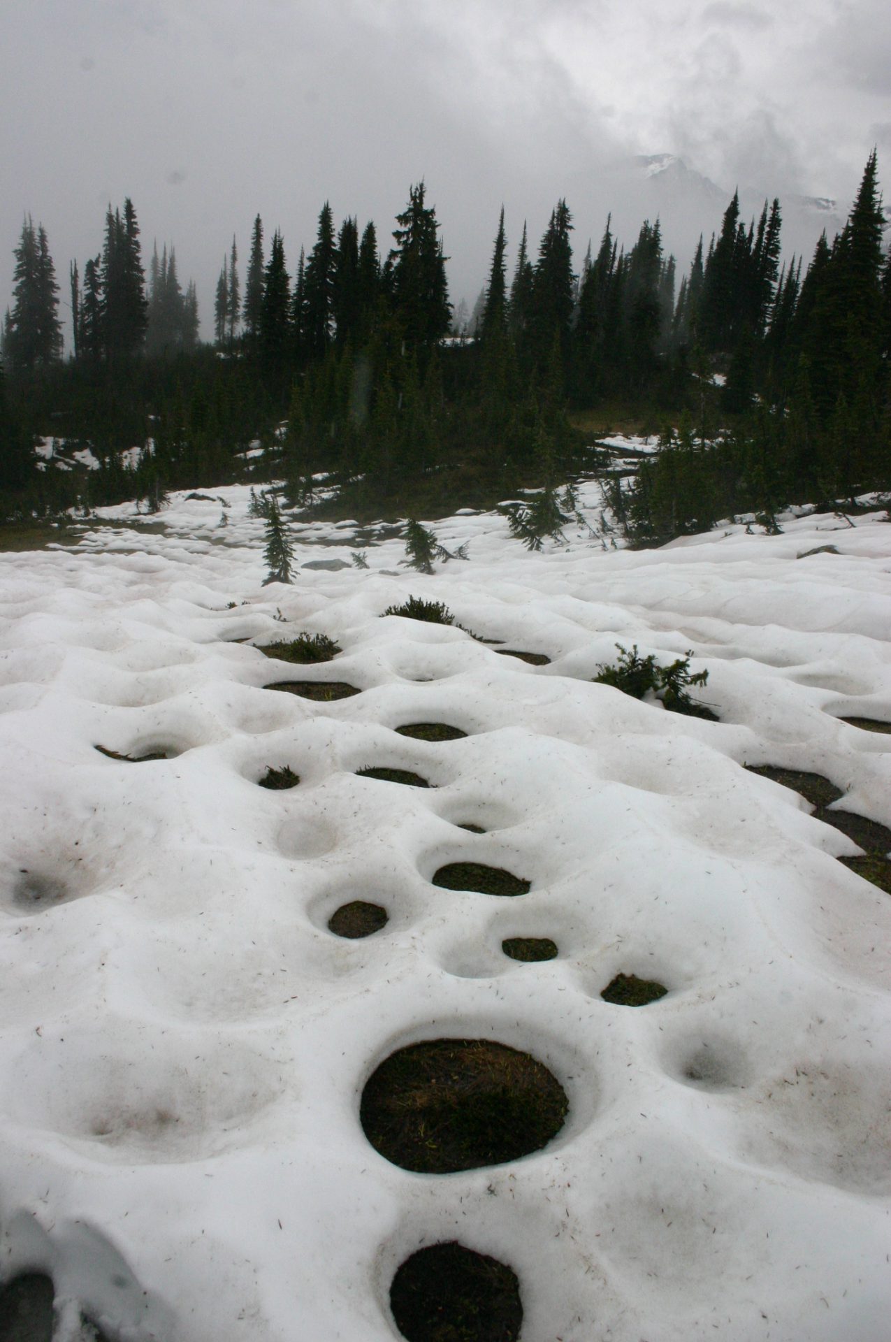 Snow melt season in BC earlier than normal