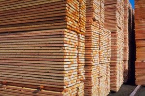 Softwood Lumber