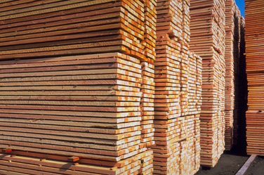 Council of Forest Industries President bracing for American retaliation on Softwood Lumber