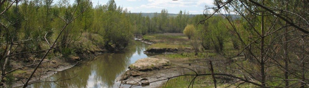 Local Wetlands Project moving forward