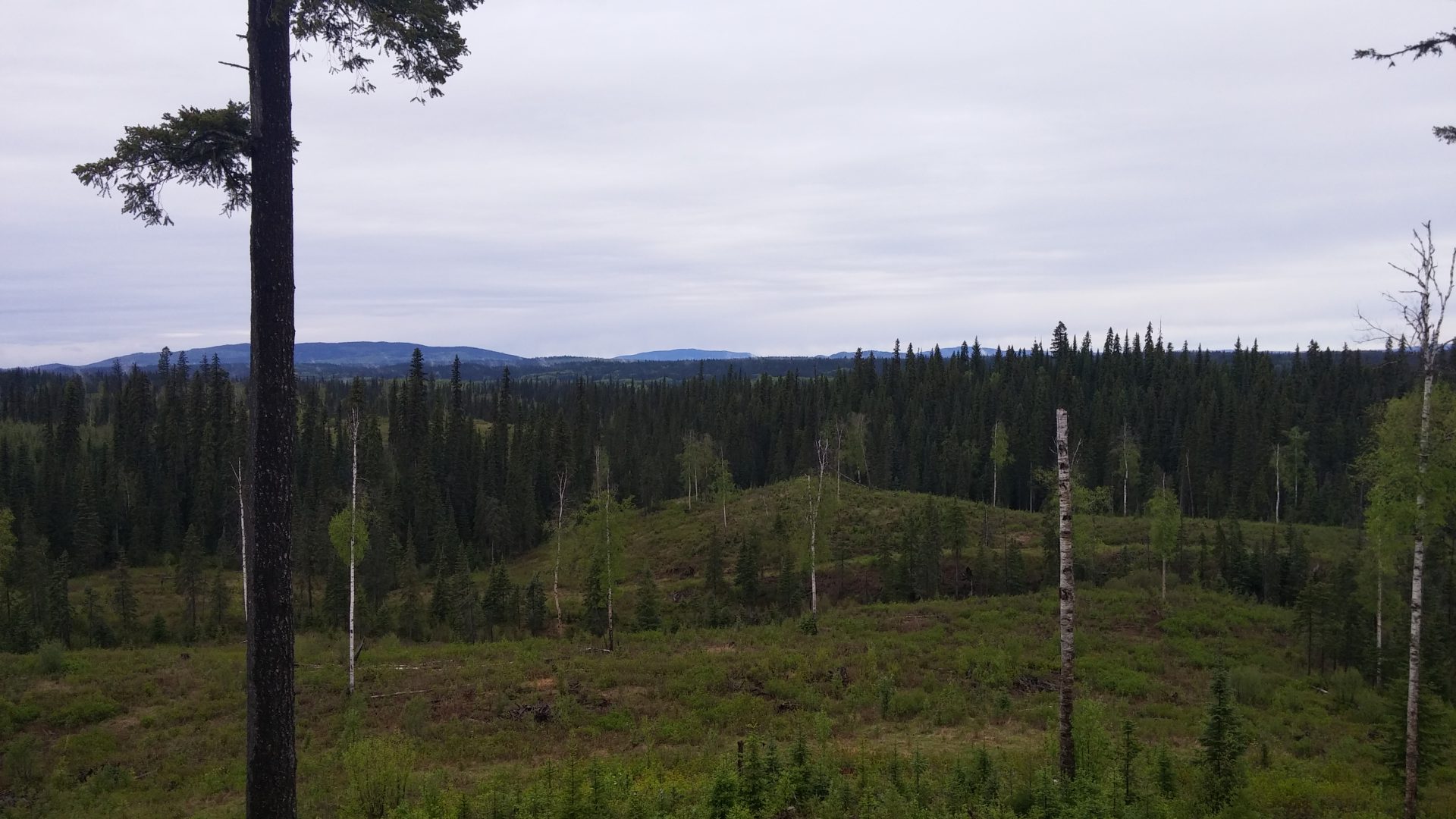View from the deck of the Field Research Centre