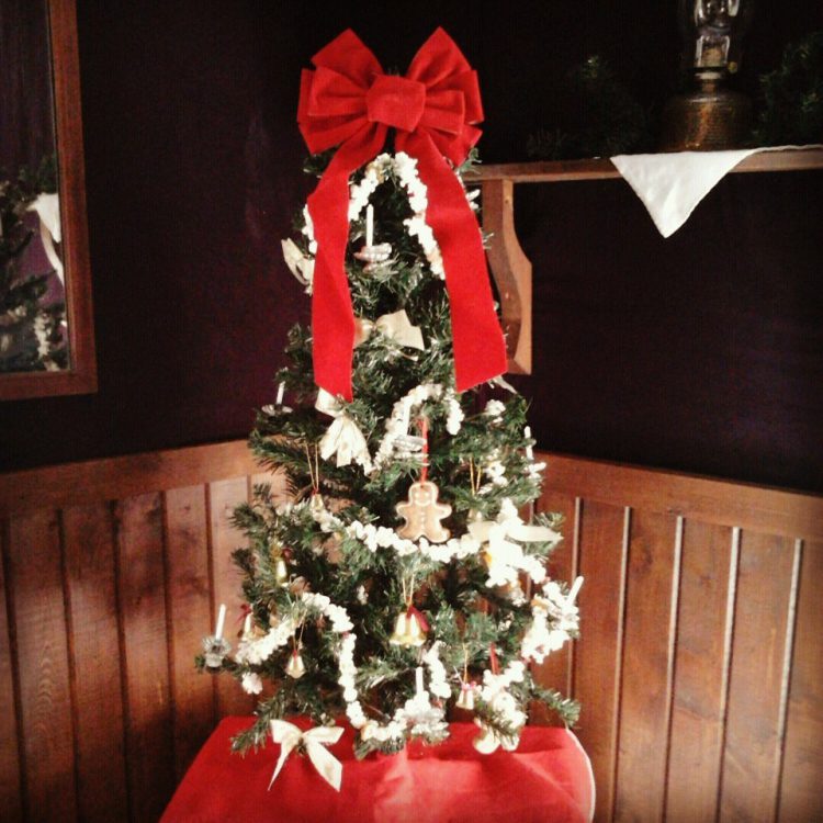 Public permits available to cut down Christmas trees My Prince Now