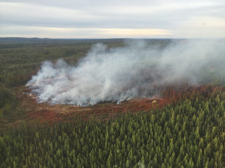 Three new wildfires in PG Fire Centre