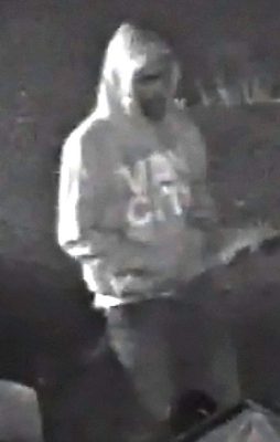Prince George RCMP seeking B&E suspect