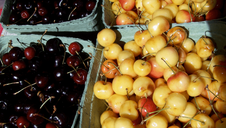 B.C. and Yukon turn focus to food security in the north