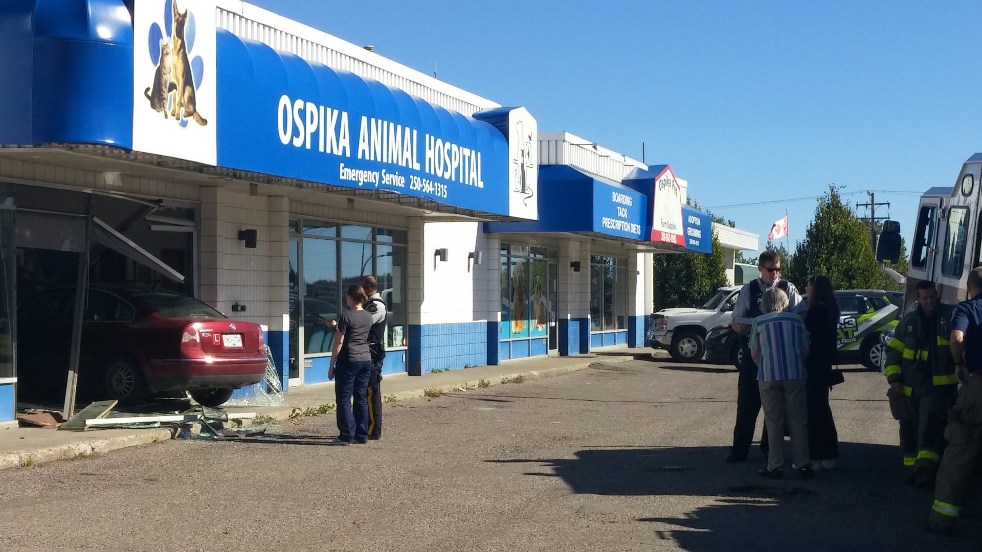 Ospika Pet Hospital 2024 elgincountymidwives