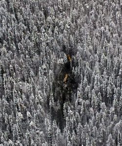 Crash site / via RCAF