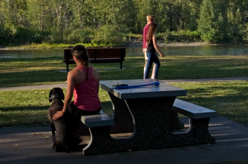 City Parks Strategy approved, awaits budget decision