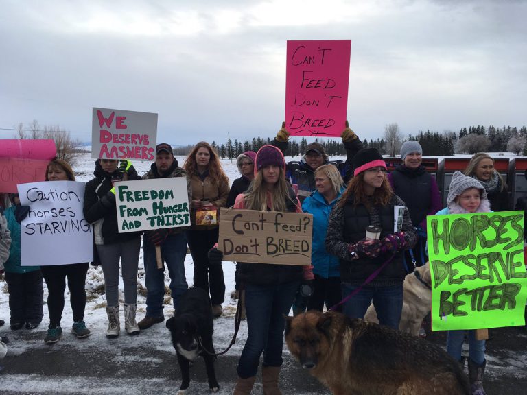 Dozens protest alleged horse cruelty on Old Cariboo Highway ranch