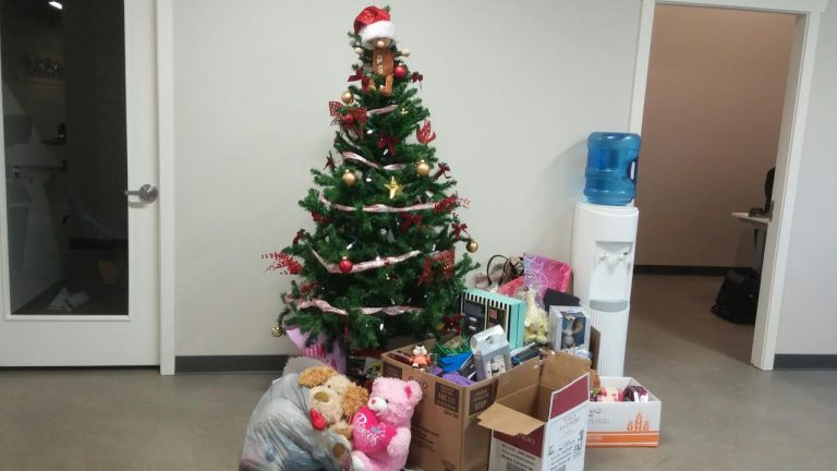 Community Christmas Fundraiser well underway