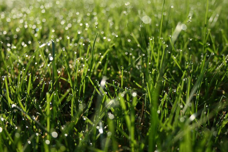 Blast of spring to ring in April for Prince George, March sees cooler than normal weather