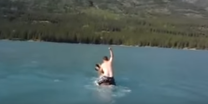 Two Fort St. John men convicted in moose riding incident