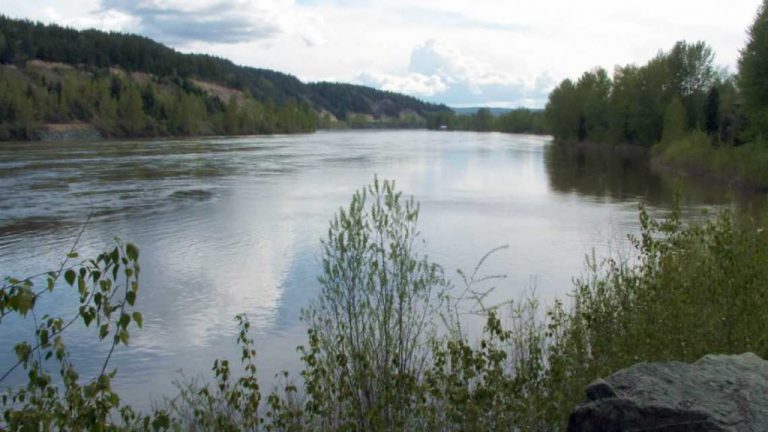 Rain likely greater risk for future flooding than snow melt: BC River Forecast Centre