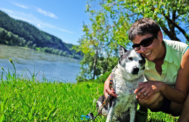 City seeks input to update animal control bylaws
