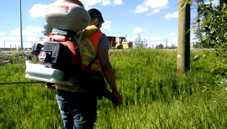 Summer is best time to enjoy the outdoors, also the ‘buggiest’