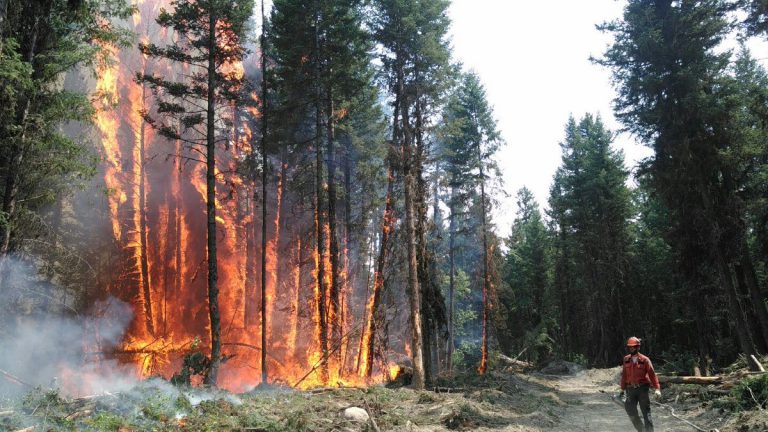 B.C. residents urged to prepare for floods and wildfire