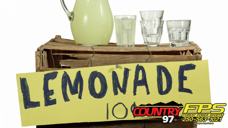 Did You Have A Lemonade Stand As A Kid?
