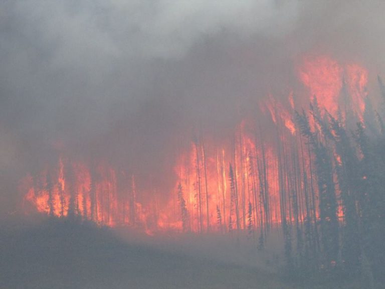BC Wildfire Update: Wednesday, August 23