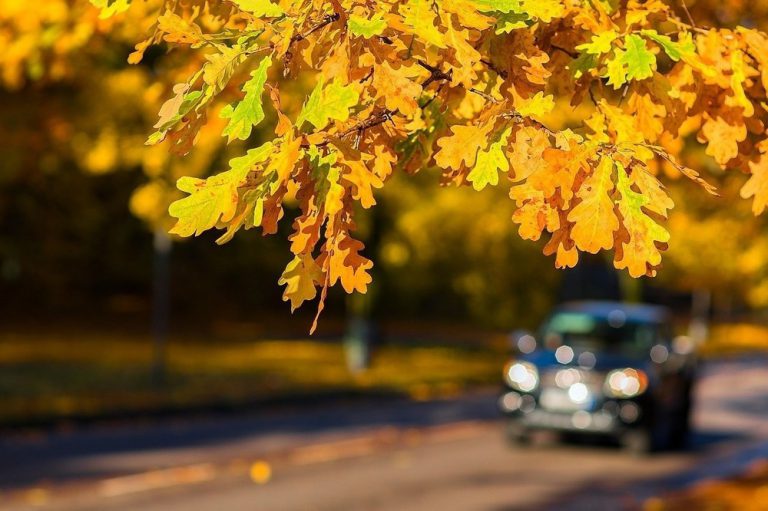 The chilly summer is coming to an end in PG, but don’t hang up your jacket!
