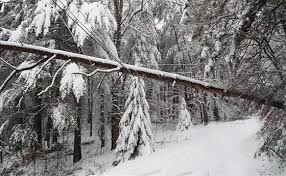 “If it’s down, it’s a danger” BC HYDRO WARNS