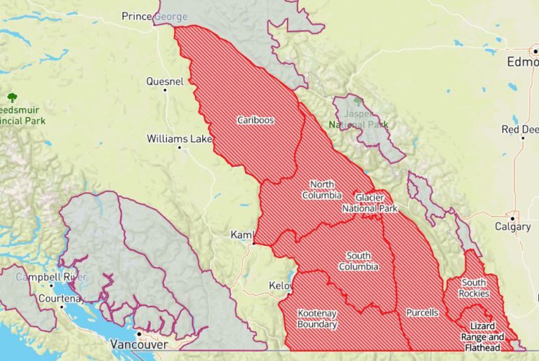 Avalanche warnings issued as snow-pack primed for human triggering