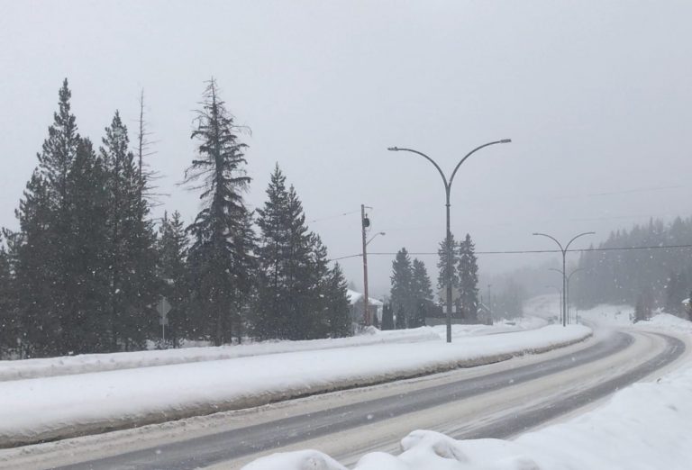 Old man winter eases up on Prince George after Thursday snowfall
