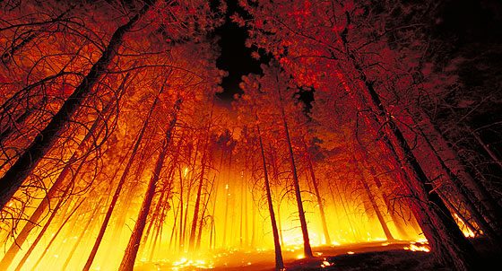 Wildfires in BC and Alberta rage on as hot weather persists