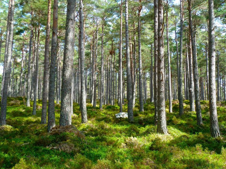 Provincial environment assessment process to be reviewed