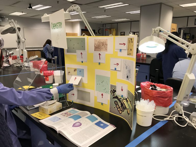 WATCH: CNC is showing off its MLTS program for National Medical Laboratory Week