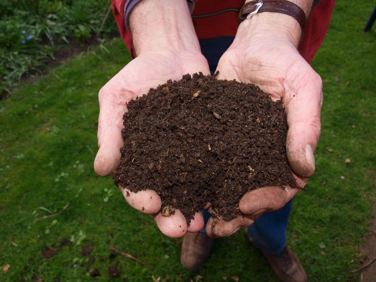 REAPS to break ground on new community compost garden