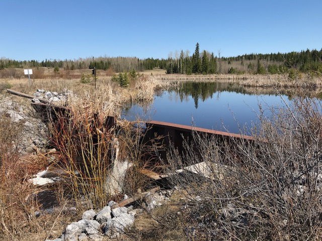 City marks Water Week with open house, wetland tour