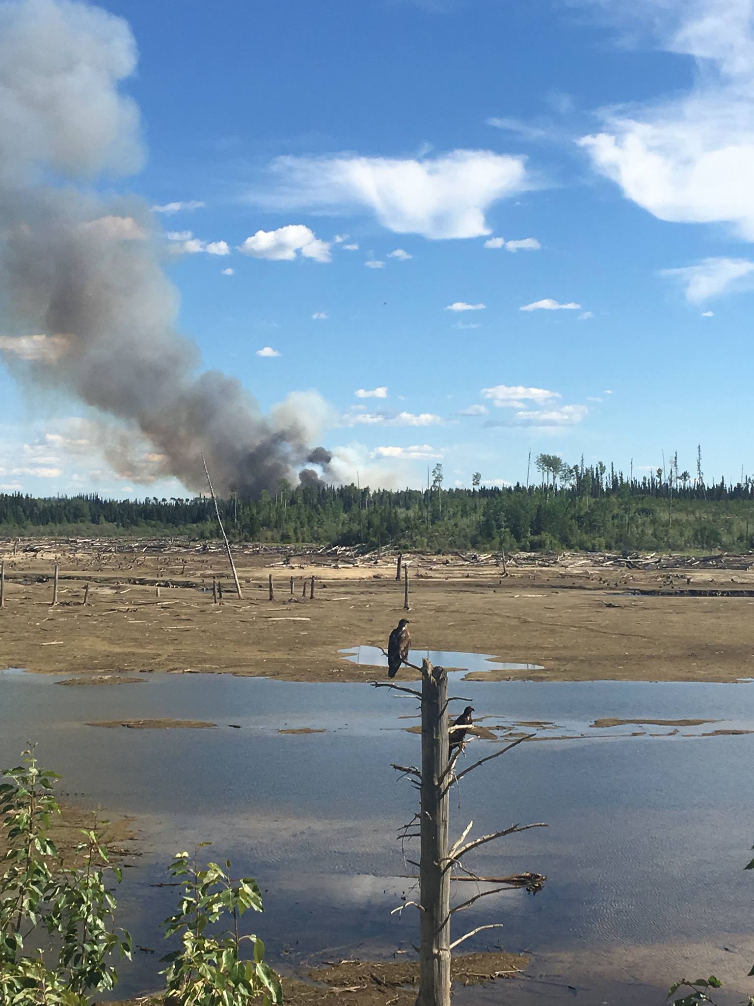 MacKenzie Fire by Elle Casey