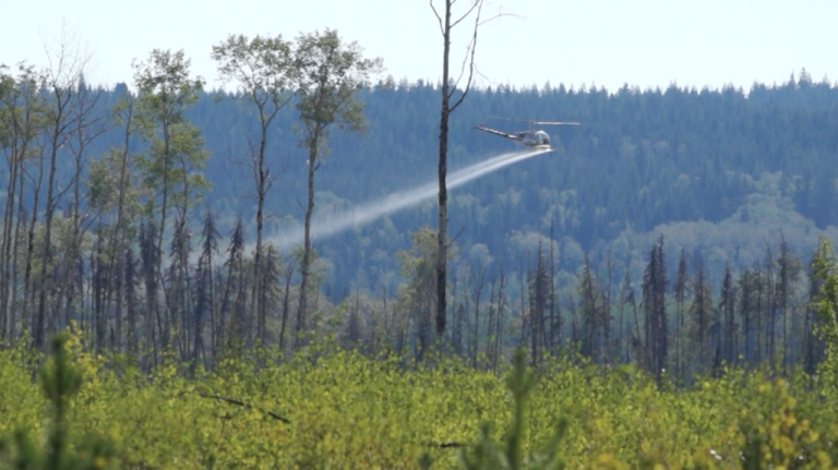 Stop the Spray BC hoping to sit down with Forest Minister