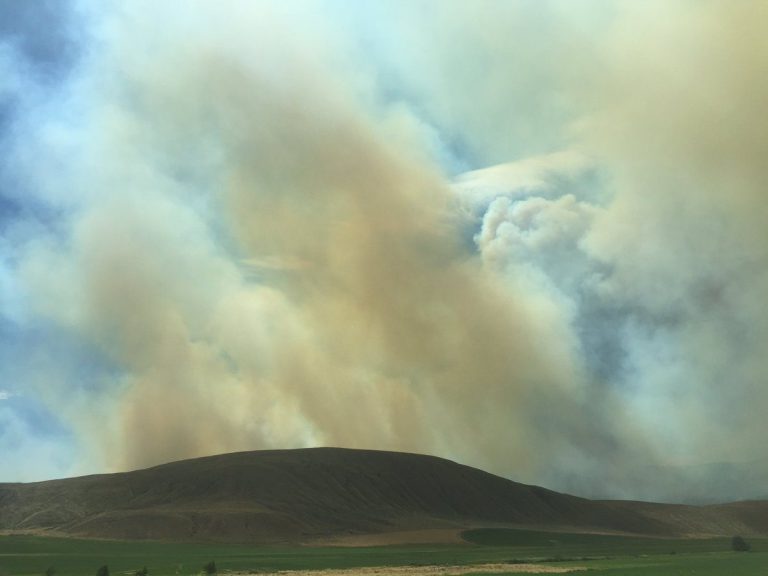 Wildfire burning south of Vanderhoof