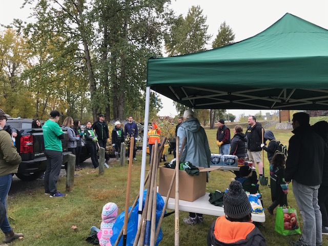 Volunteers set roots in Cottonwood Island Park