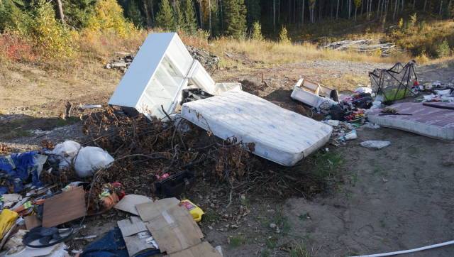 Volunteers clean up 25,000lbs of trash from illegal dumping in PG