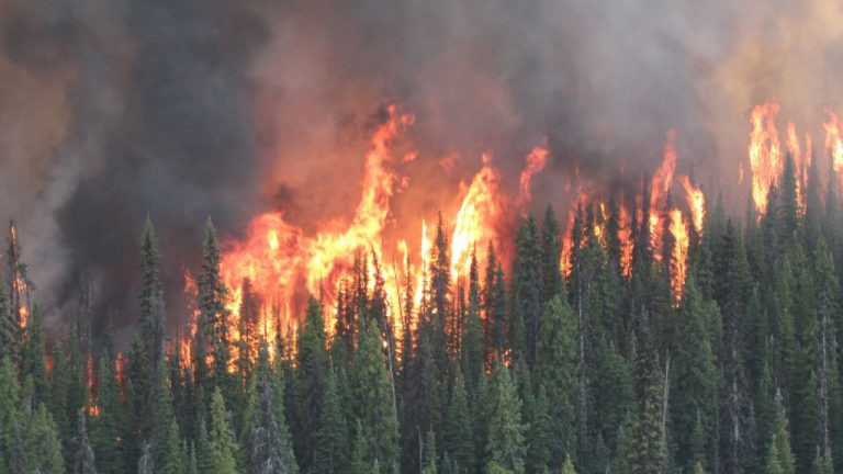 Risk for wildfires on the rise as temperatures increase