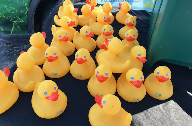 prince rubber duck