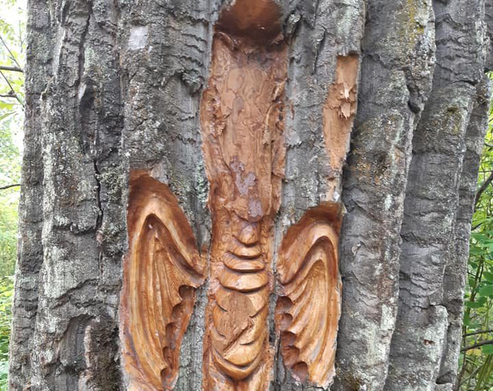 “They took it from the kids,” carving at Cottonwood Park vandalized