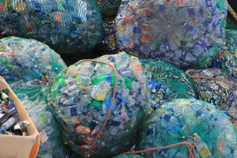 WATCH: How will the single use plastics ban effect PG businesses?