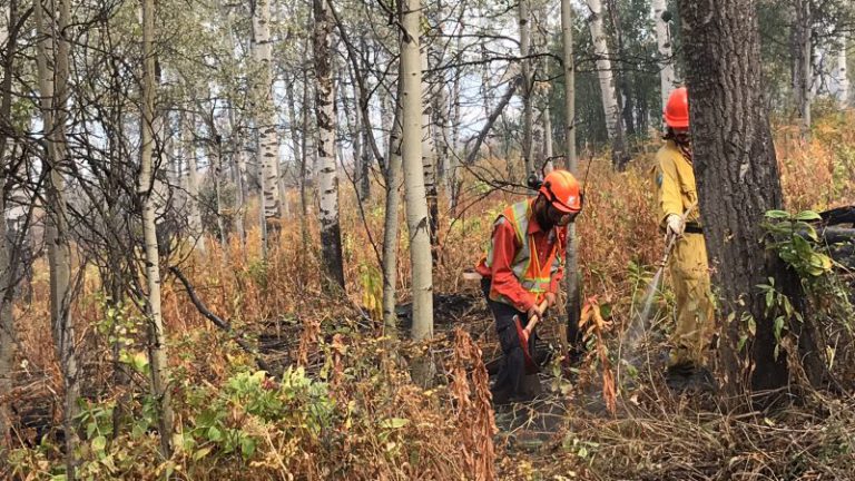 Wildfire season improved compared to the last two years