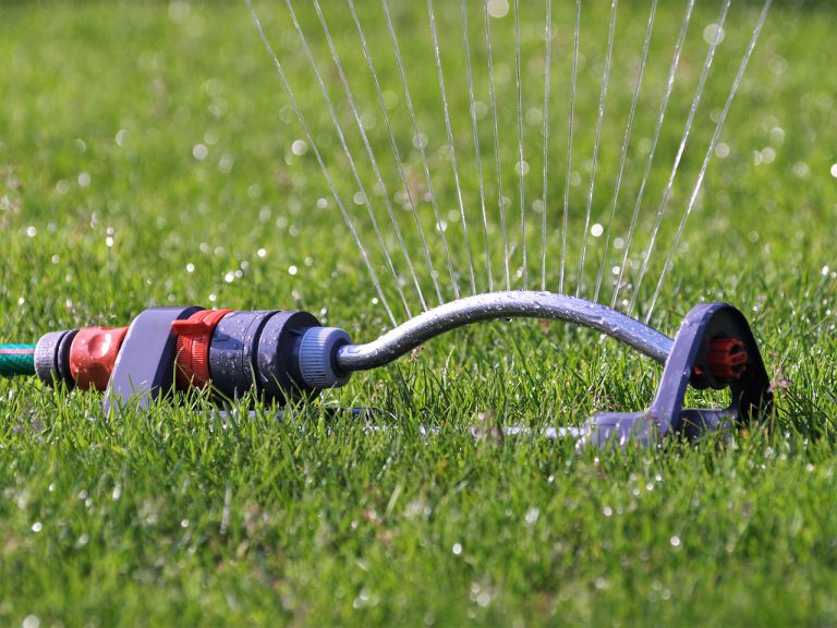 Heat brings City’s reminder of watering restrictions