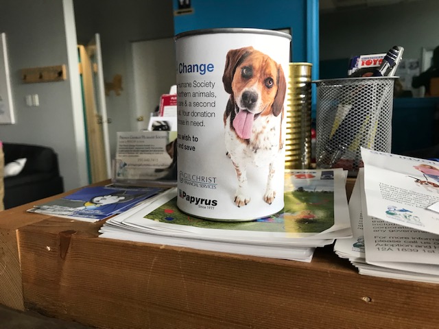 Without help, PG Humane Society will have to shutdown